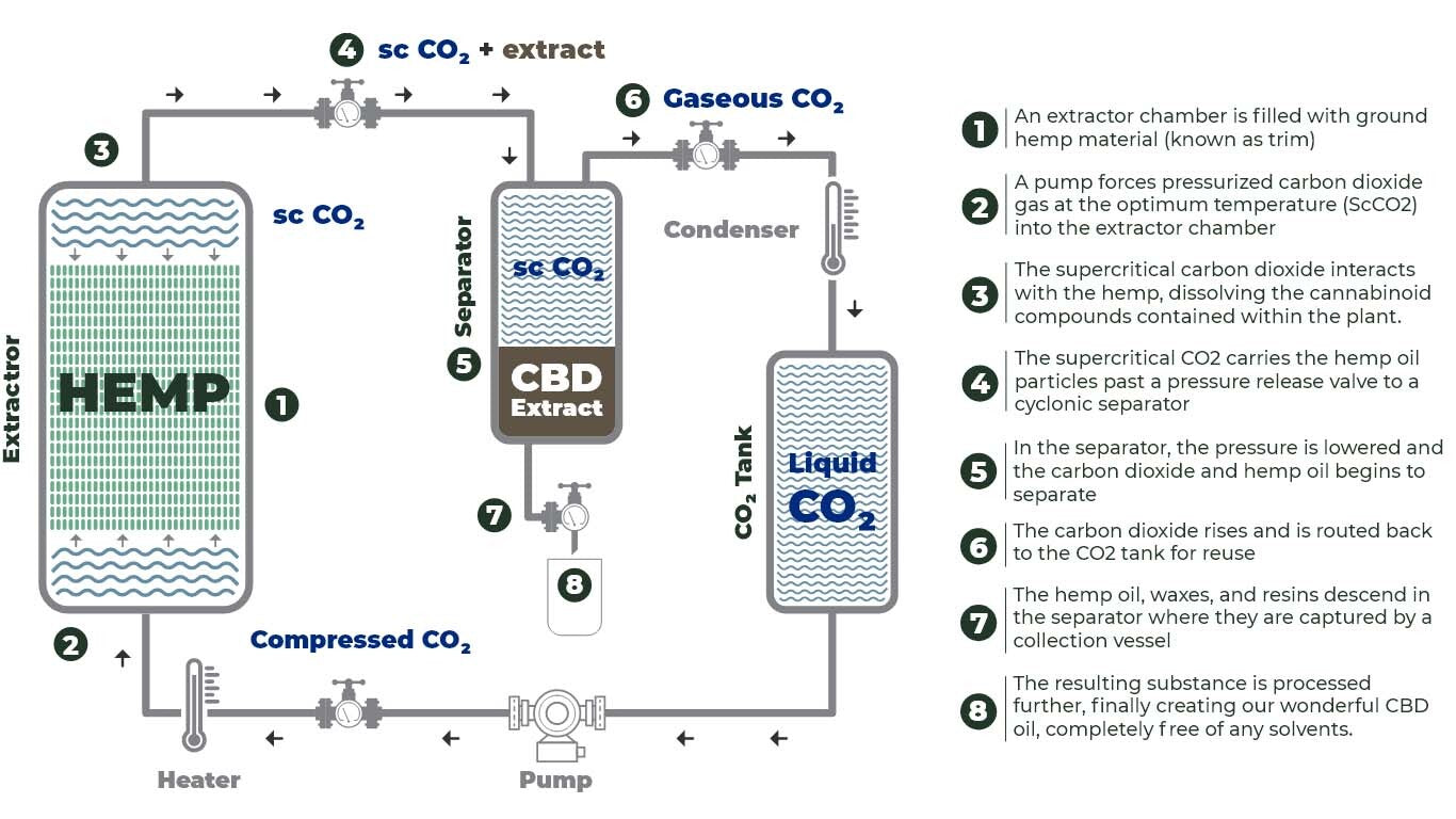 CO2 Extraction Information